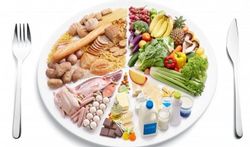 Vlaamse consensustekst over gezonde voeding en beweging