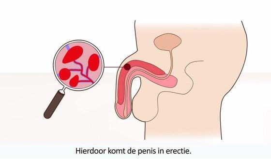 vrouwen zijn dom sex video s vrouwen zijn dom sex video s