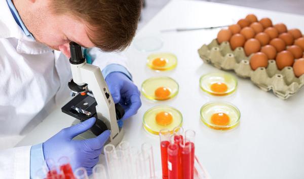 Ernstige voedselinfectie door salmonella verhoogt kans op darmkanker