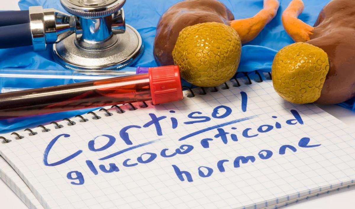 Welke (uiterlijke) kenmerken wijzen op het syndroom van Cushing? gezondheid.be