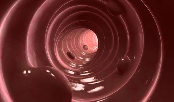 Darmpoliepen: meestal onschuldig, soms kwaadaardig | gezondheid.be