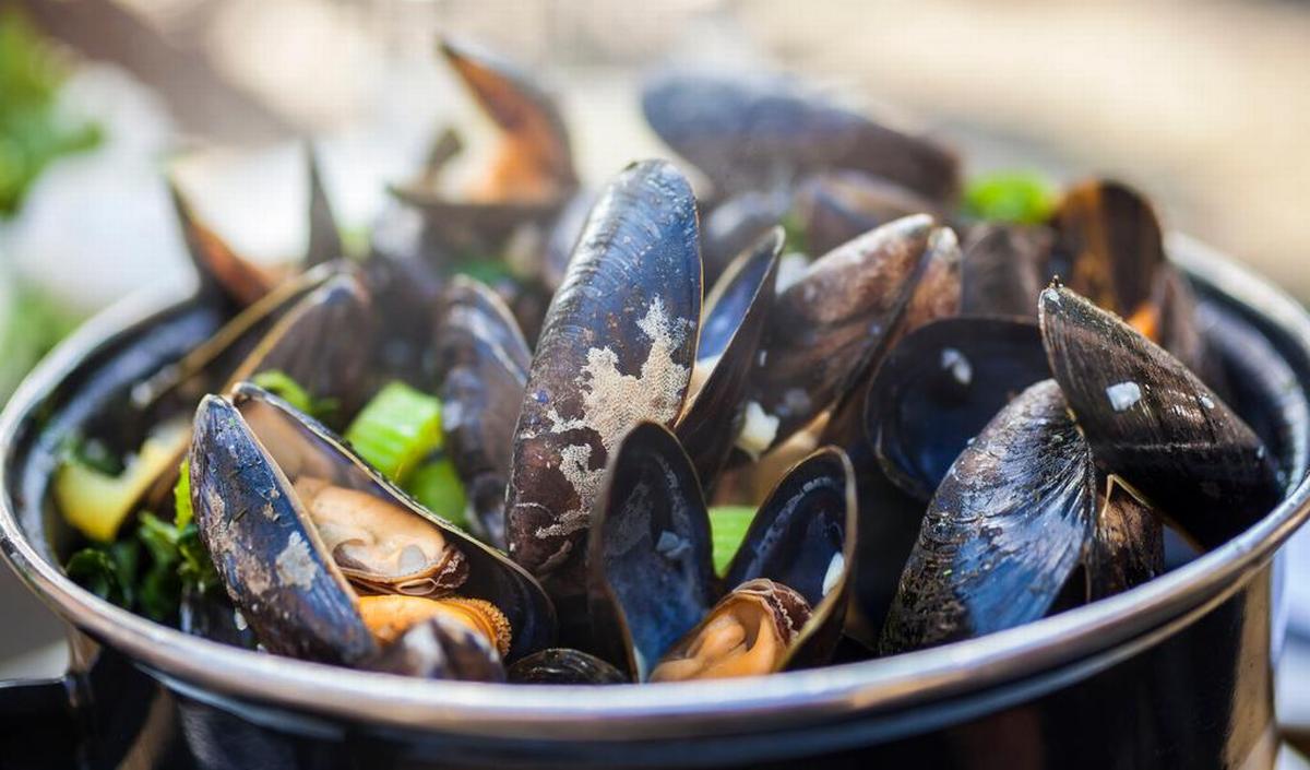 Waarop letten als je mosselen eet? | gezondheid.be