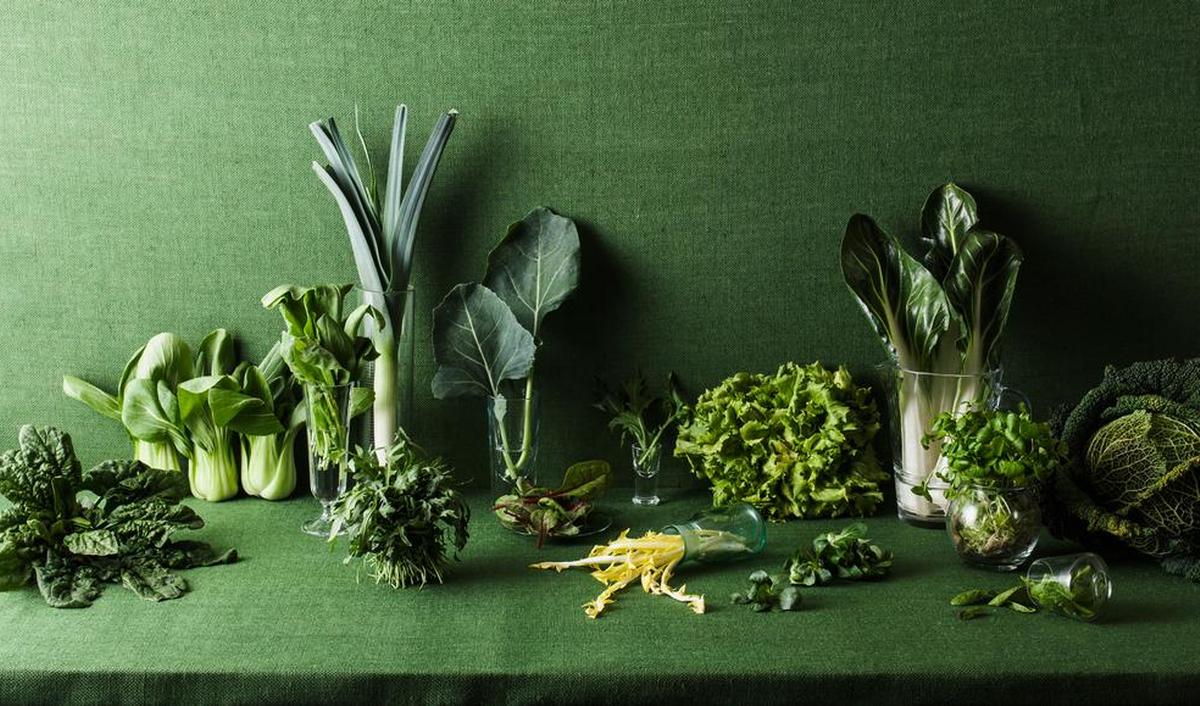 Why Are Green Vegetables So Healthy? Benefits, Nutrition, and Cooking