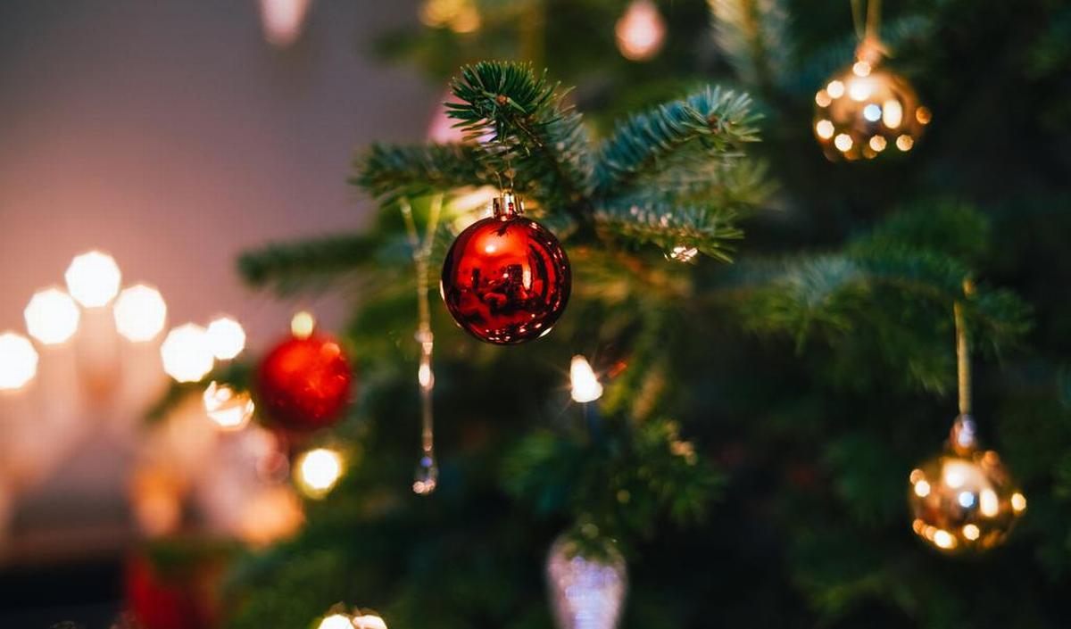 Zo je voor een brandveilige kerstboom gezondheid.be