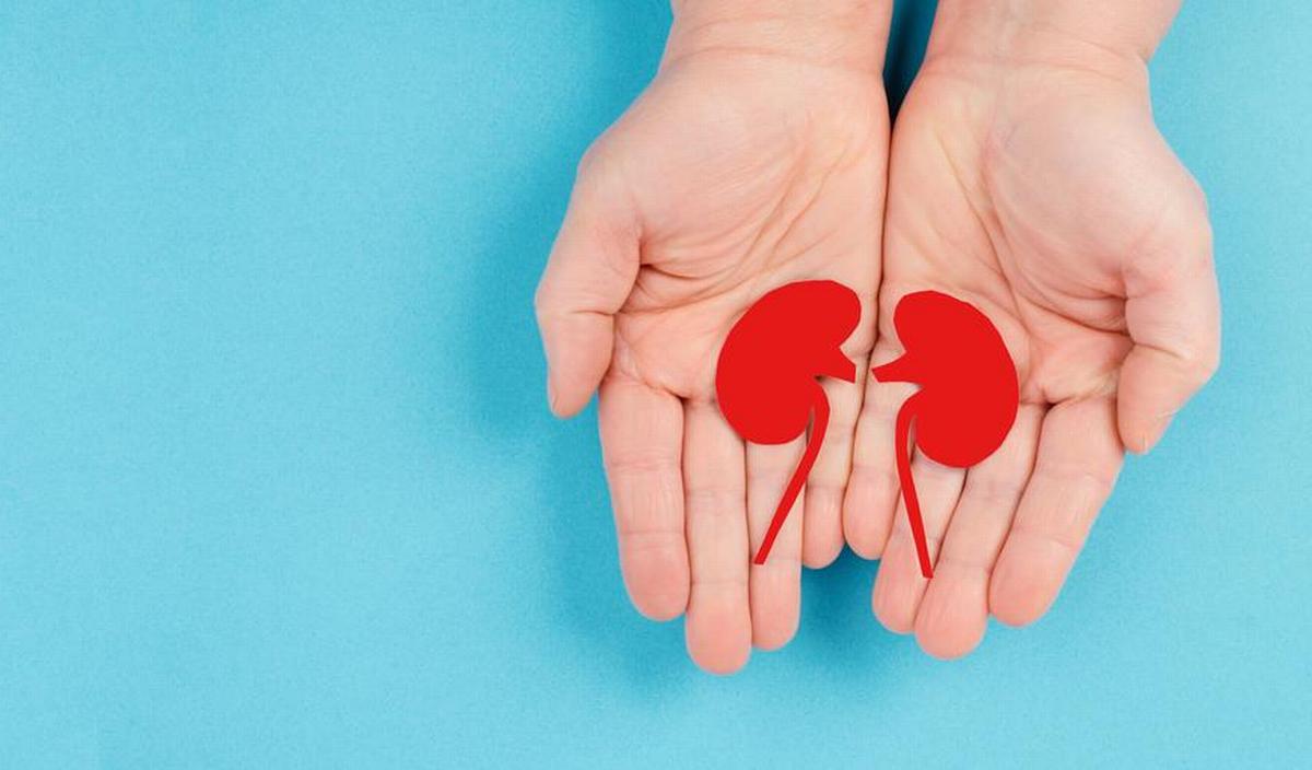 Hoe herken je een nierbekkenontsteking en wat kan je doen? | gezondheid.be