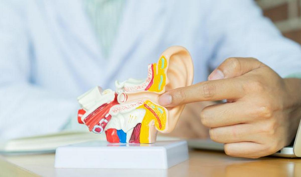 Buisjes in oren bij kind | gezondheid.be