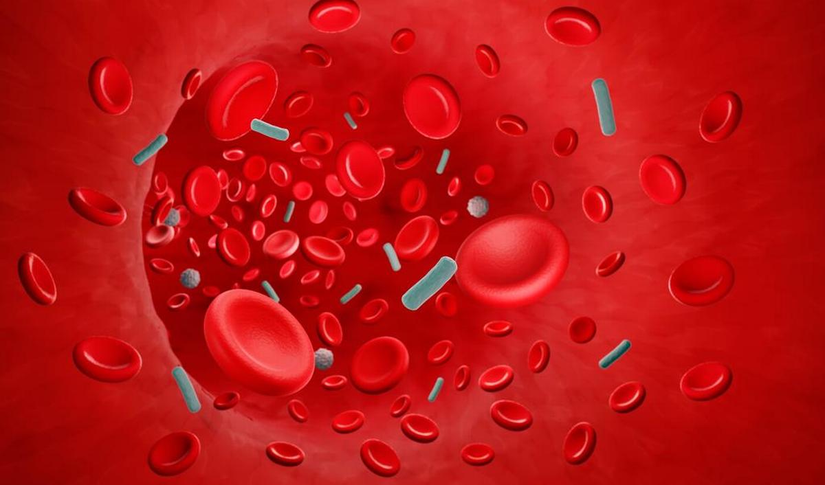 Sepsi (avvelenamento del sangue) e shock settico: sintomi, cause e trattamento