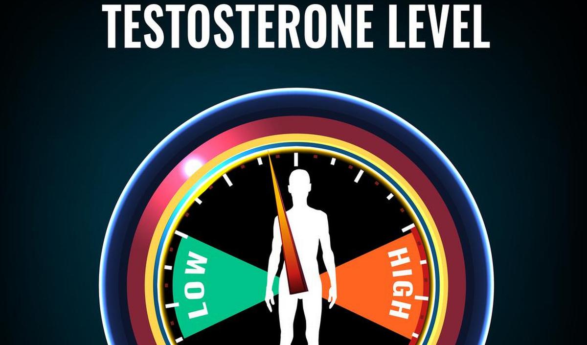 Hoe testosteron verhogen? gezondheid.be