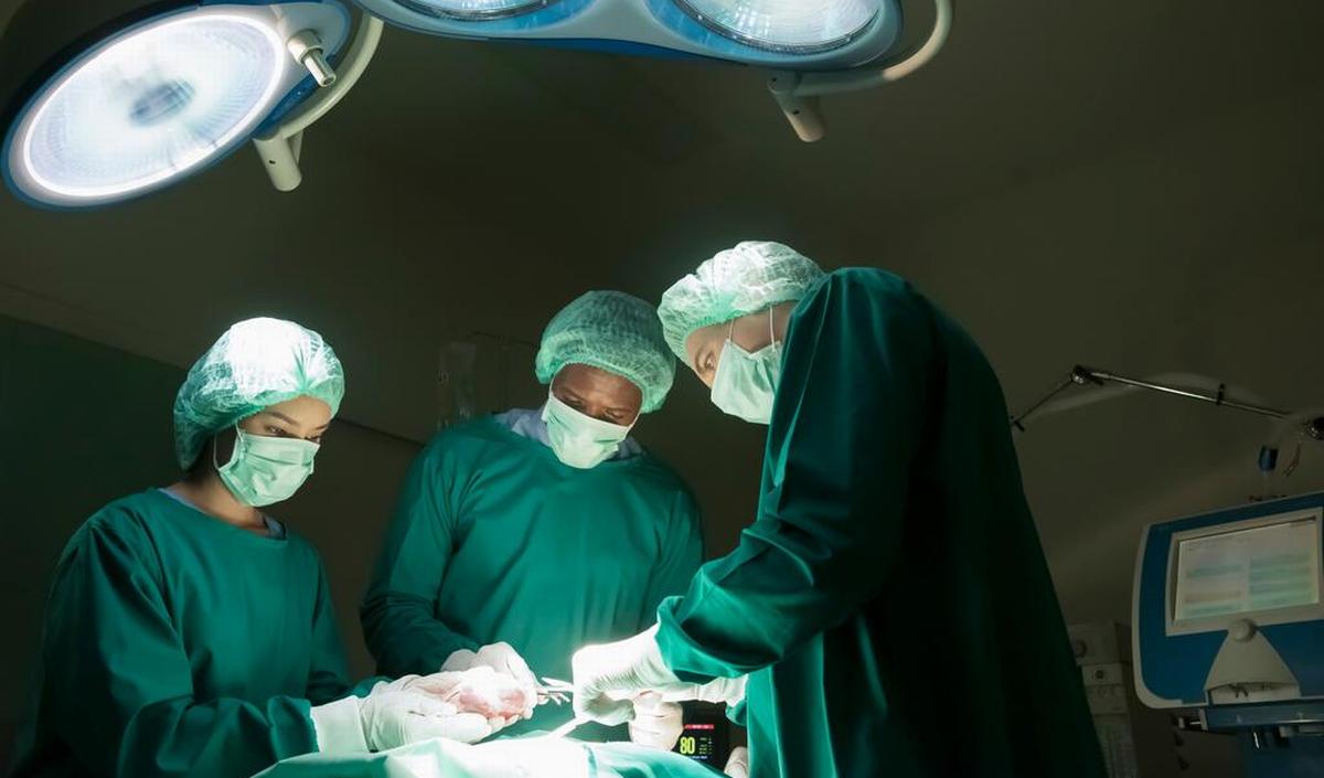 Trapianto di organi: animali come donatori di organi umani