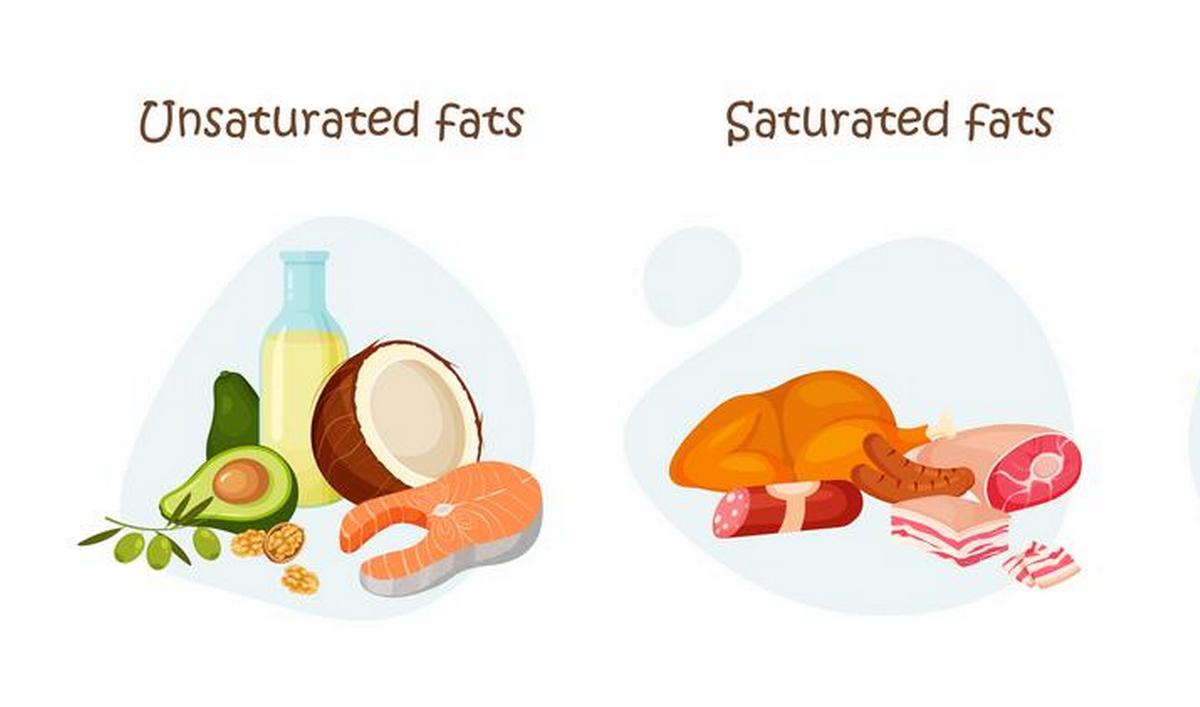 Soorten vetten en het effect op ons lichaam | gezondheid.be