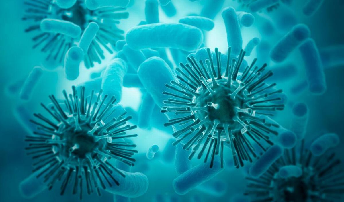Wat is het verschil tussen een virus en een bacterie? | gezondheid.be